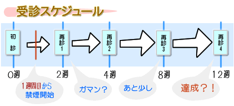 禁煙治療スケジュール図